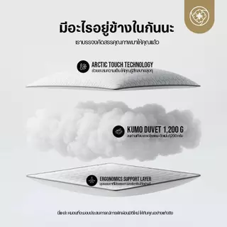 Orientas หมอนเย็น รุ่น Cool Sleep เย็นลง 2 องศา หมอนขนห่านเทียม เกรดโรงแรม นุ่ม เด้ง คืนตัวไว