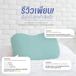 SiamLatex Durian Cover Case ปลอกหมอนยางพารา รุ่น Colorful สำหรับ หมอนยางพารา รุ่น Durian