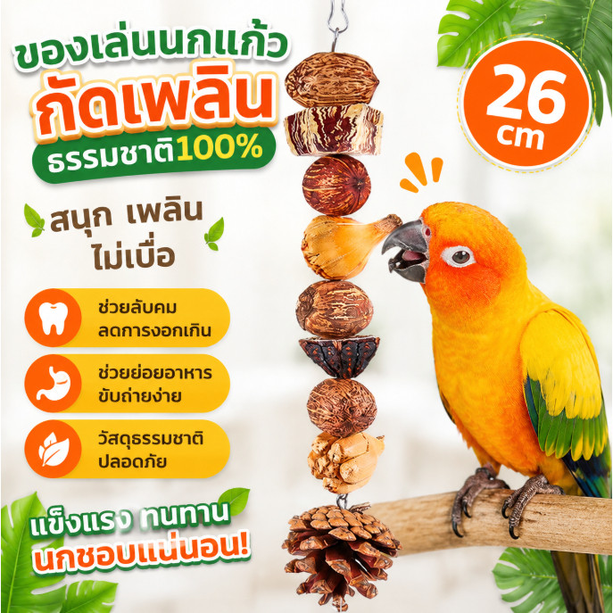 ของเล่นนกแก้วไม้ธรรมชาติ 26cm ของเล่นกัดแทะ ขัดฟัน ช่วยลับปากนก