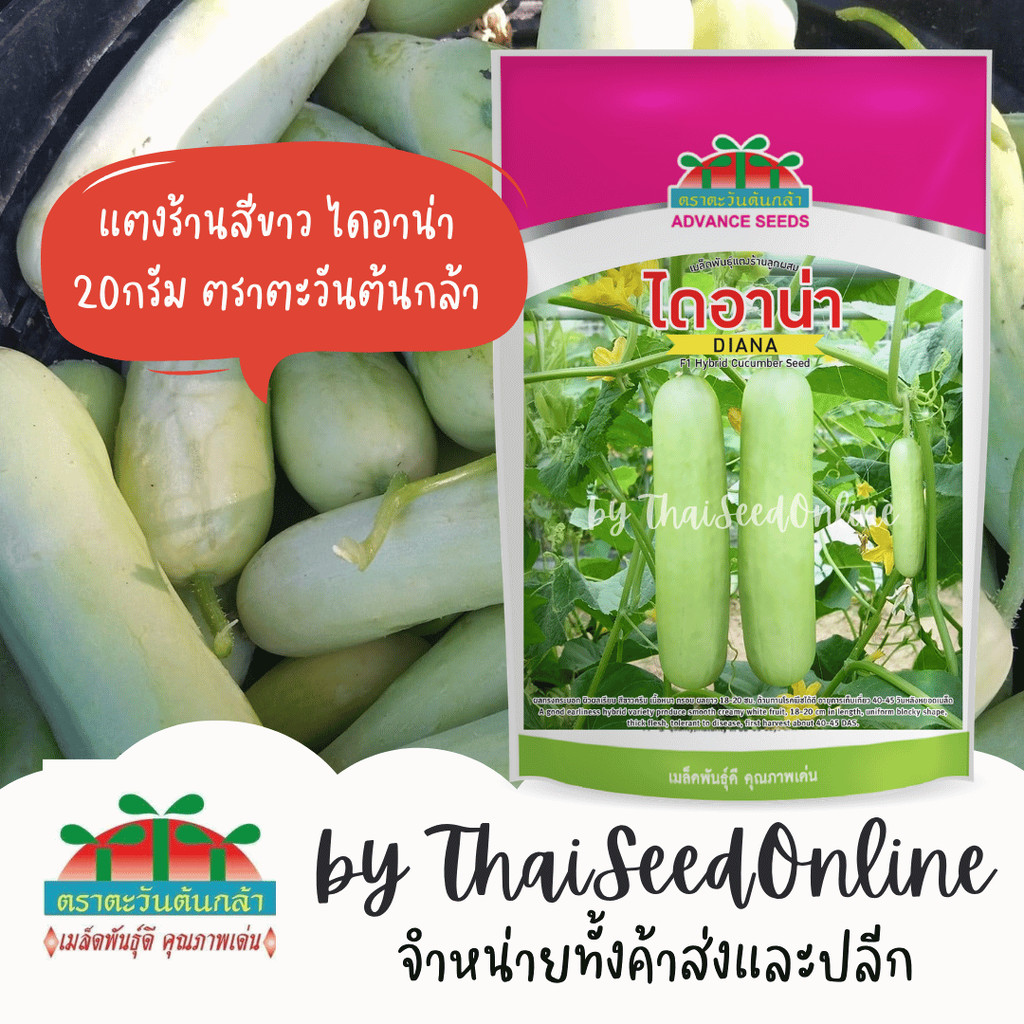 ADV ใหม่ บรรจุซอง 20กรัม เมล็ดพันธุ์ แตงร้านสีขาว ไดอาน่า 20กรัม ตราตะวันต้นกล้า