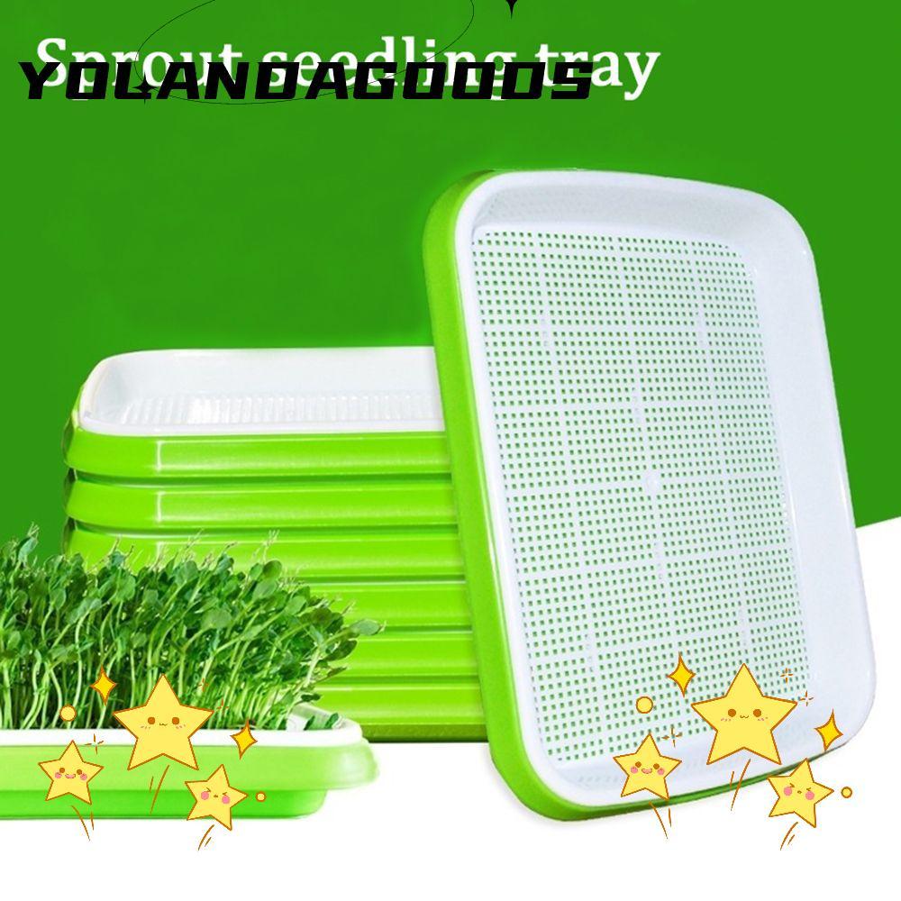 YOLA Grow Nursery Pots อุปกรณ์ทําสวนถาด Hydroponic Nursery Paper Plant Box