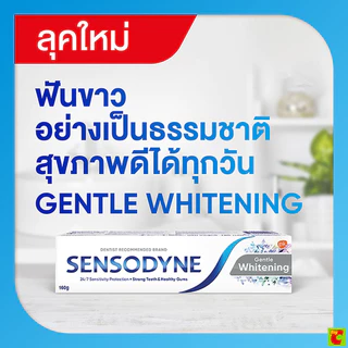 เซ็นโซดายน์ ยาสีฟัน สูตรเจนเทิล ไวท์เทนนิ่ง 160 ก. แพ็คคู่