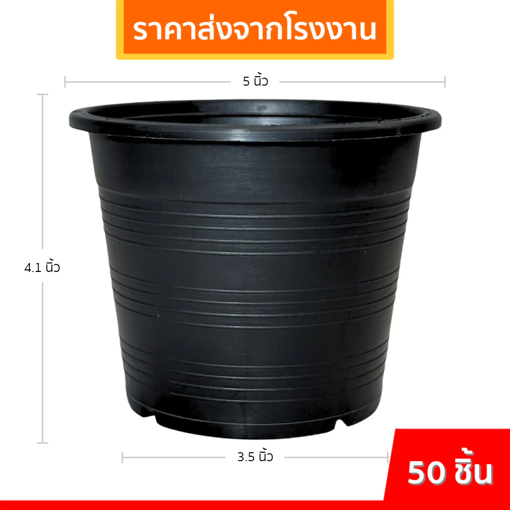 กระถางต้นไม้พลาสติก กระถางต้นไม้ กระถาง 2 2.5 3 4 5.5 6 8 9 นิ้ว ราคาส่ง thumbnail 6