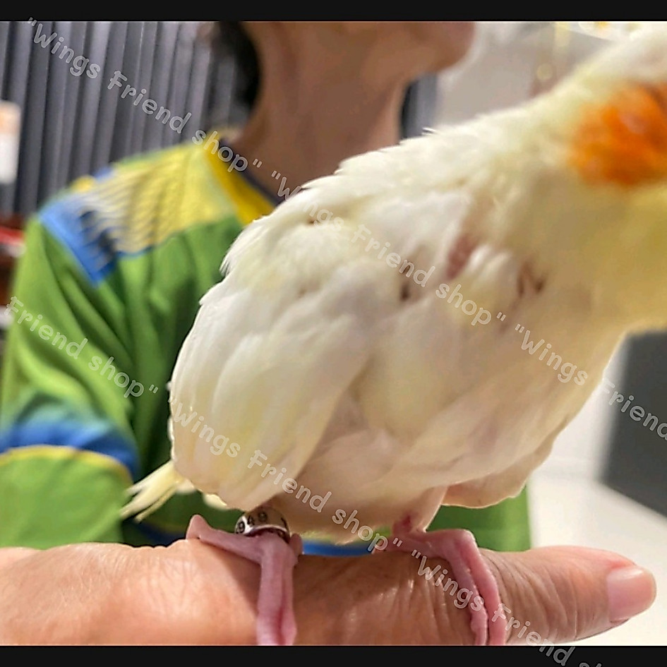 Thumbnail 8