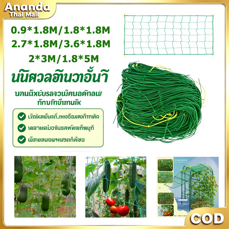 ตาข่ายไม้เลื้อย ตาข่ายปลูกผัก ค้างไม้เลื้อย ตาข่ายบวบ แตงกวา ทนทาน ใช้งานสวนตัวบ้าน