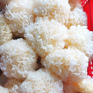 เห็ดหูหนูขาว ยกลัง8ห่อ ขนาด4kg เห็ดขาวแห้ง คัดสรรคุณภาพ พร้อมส่ง