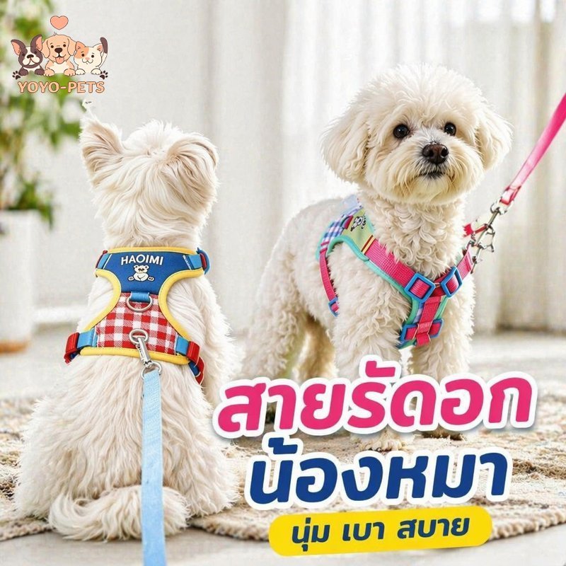 สายรัดอกแมว สายจูงแมว ผ้าตาข่าย ระบายอากาศ ป้องกันหลุด ปรับได้ นุ่ม ใส่สบาย