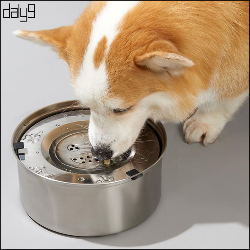 Dal Safety Dog Plate Universals Eating Utensils ให้อาหารที่สะดวกสบาย ชามความไร้เดียงสา