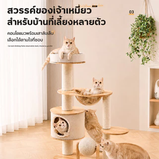 ตัวคอนโดแมวใหญ่ คอนโดแมวไม้ condoแมว โครงปีนแมว กรอบปีนแมว ไม้แมวคอนโดแมว พร้อมโดมนอนแบบใส คอนโดแมวไม้จริง คอนโดไม้