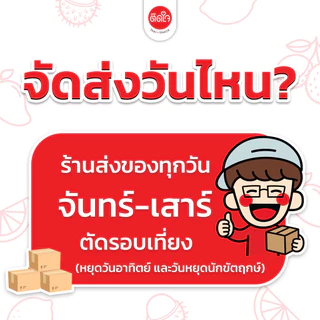 [1แถม1] ผลไม้ Mix พริกเกลือลาว TidjaiThaiSnack ซอร์ฟดราย ผลไม้อบแห้ง Dried fruits ผลไม้รวม ผลไม้ อบแห้ง ขนม ของกินเล่น