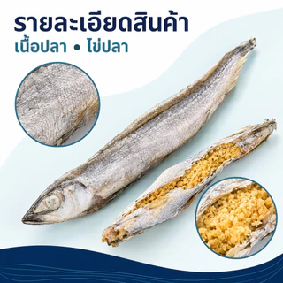 SKISOPGO ปลาไข่แมว ปลาไข่ฟรีซดราย อบแห้ง ขนมแมว ปลาไข่เต็มตัว ขนมแมว ธรรมชาติ แมวชอบมาก