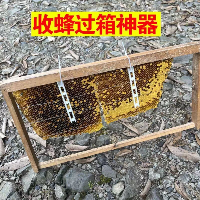 Fleen Pade夹子 Bee Bee Frame Fade Card Fang Greasy Corfation Mafie flor子 Pleen Clip Bees ผ่าน Box Clip