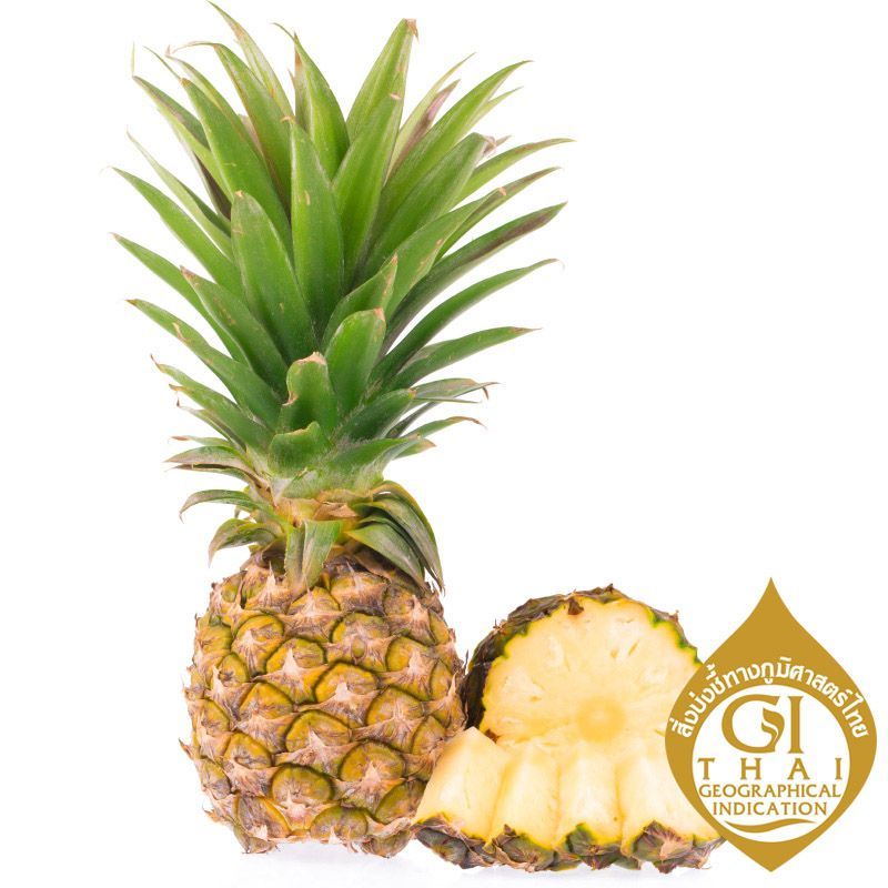 GI สับปะรดภูแล GI Phulae Pineapple