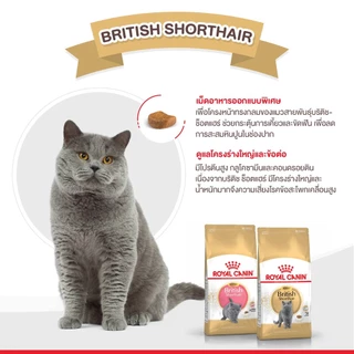Royal canin [2kg] โรยัลคานินอาหารเม็ดสำหรับแมวเพื่อสุขภาพที่ดี