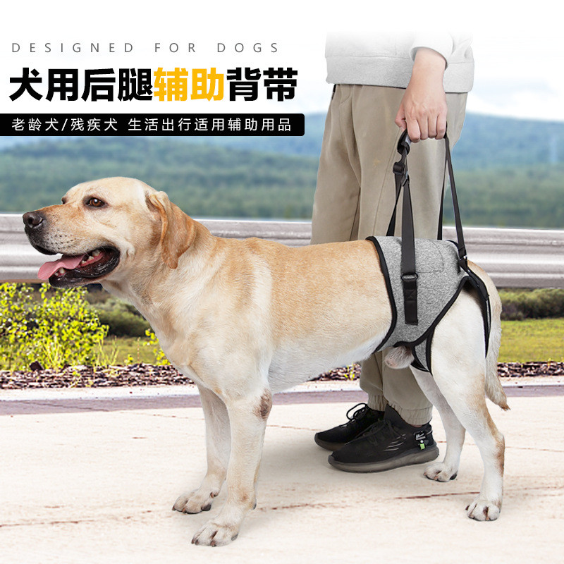 สินค้าขายดี Injured Dogs Back Legs Assisted Straps Age Injured Dogs Recovery Straps Auxiliary