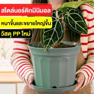 กระถางต้นไม้ กระถางกลมทรงเตี้ย กระถางต้นไม้พลาสติก พลาสติกหนาพิเศษ แข็งแรง ทนทาน แถมจานรอง ไม่เลอะพื้น