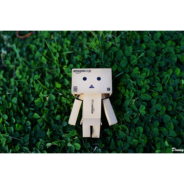 Japan Amazon Carton Man Arang สินค้าของแท้ DANBOARD ตุ๊กตา Arang รุ่น Ocean Hall