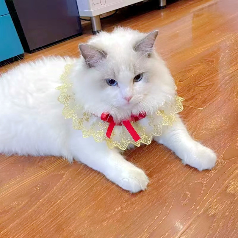 เอี๊ยมสัตว์เลี้ยงน้ําลายผ้าขนหนูแมวเท็ดดี้เอี๊ยมรอบคอผ้าพันคอลูกไม้หวานเอี๊ยมสัตว์เลี้ยงสุนัขผ้าพันค