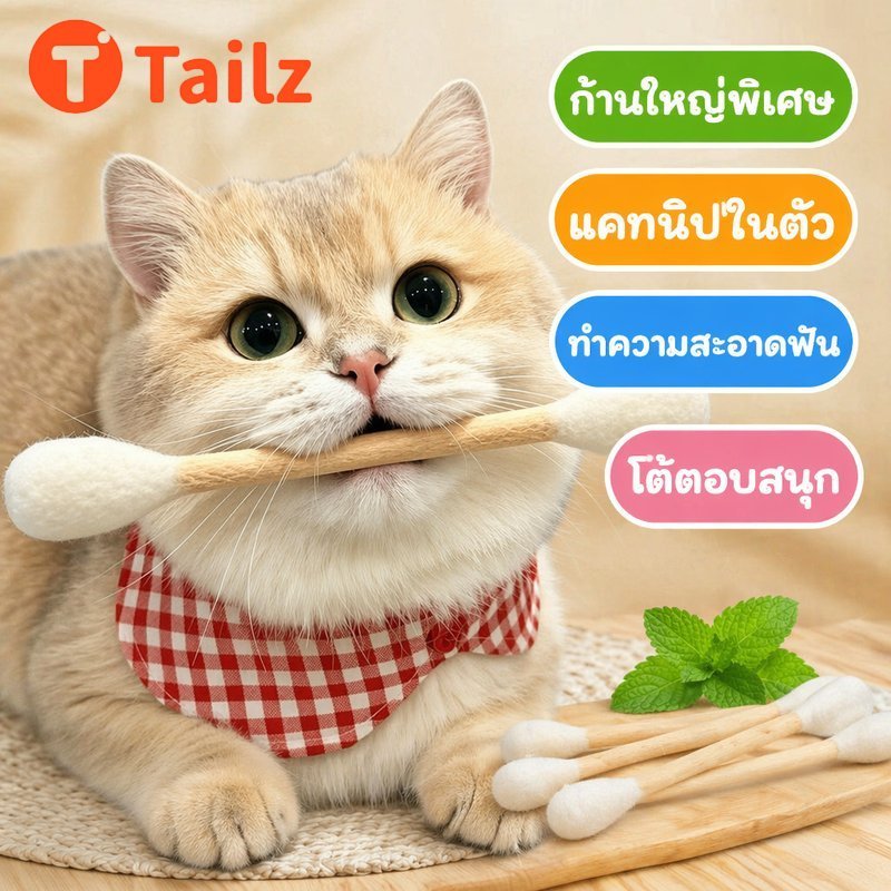 Tailz ของเล่นแมว สำลีก้านยักษ์ เซ็ต 4 5 6 ชิ้น แคทนิปในตัว สักหลาด ทำความสะอาดฟัน ของเล่นกัด