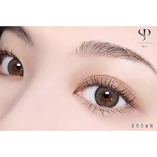 คอนแทคเลนส์ Mini Olivia Brown / Light Brown / Gray (Kitty Kawaii) ขนาดมินิ