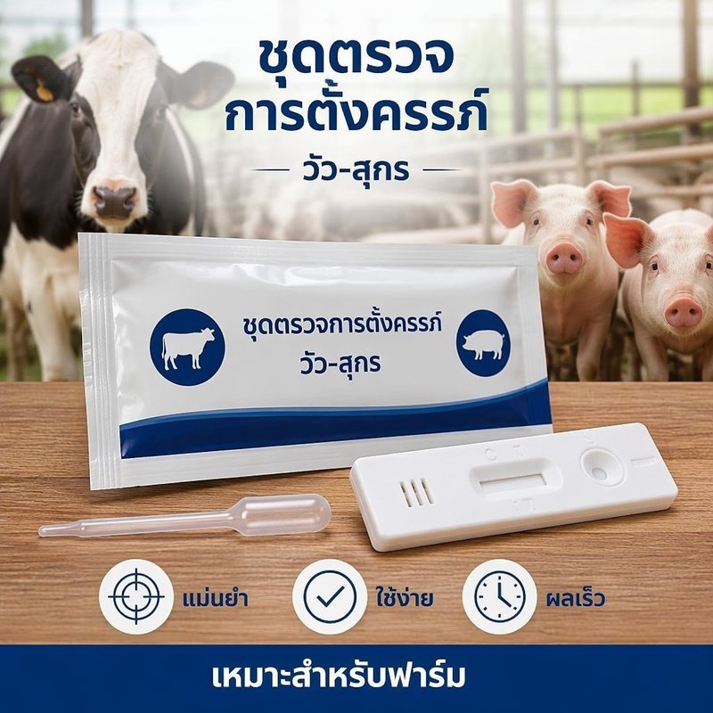 ชุดตรวจการตั้งครรภ์วัว สุกร แผ่นตรวจท้องวัว แผ่นตรวจท้องหมู ทดสอบตั้งครรภ์ฟาร์ม