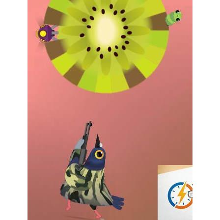Crazy Pigeon Pop Unity Game Original Code Unity Engineering Play จนบิน