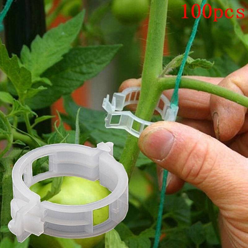 Hyth คลิปรองรับพืชสวน veggie 100 ชิ้นสําหรับ trellis t เรือนกระจก Glory