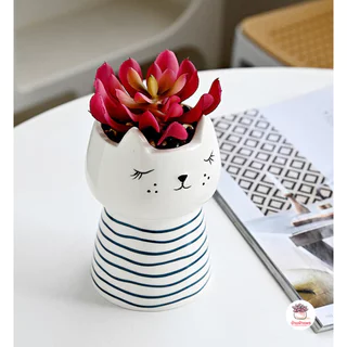กระถางเซรามิค แมวเหมียวแก้มจุด กระถางต้นไม้ แคคตัส กระบองเพชร ไม้อวบน้ำ Cactus&Succulent
