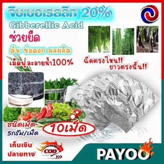 จิ๊บเม็ด จิบเบอเรลลิน จิบเบอเรลลิก แอซิด ชนิดเม็ด Gibberellic Acid 20%(GA3) เม็ดฟู่ละลายน้ำ100% / ((มีหลายตัวเลือก))