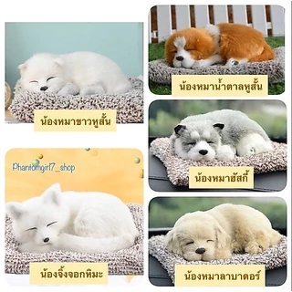 รวมพลคนรักสัตว์ ตุ๊กตาดูดกลิ่น 🐰 ตุ๊กตากระต่าย 🐶หมา 🐱ตุ๊กตาแมว 🐼หมีแพนด้า 🦊จิ้งจอก น่ารักฝุดๆ ช่วยลดกลิ่นอับได้ดี