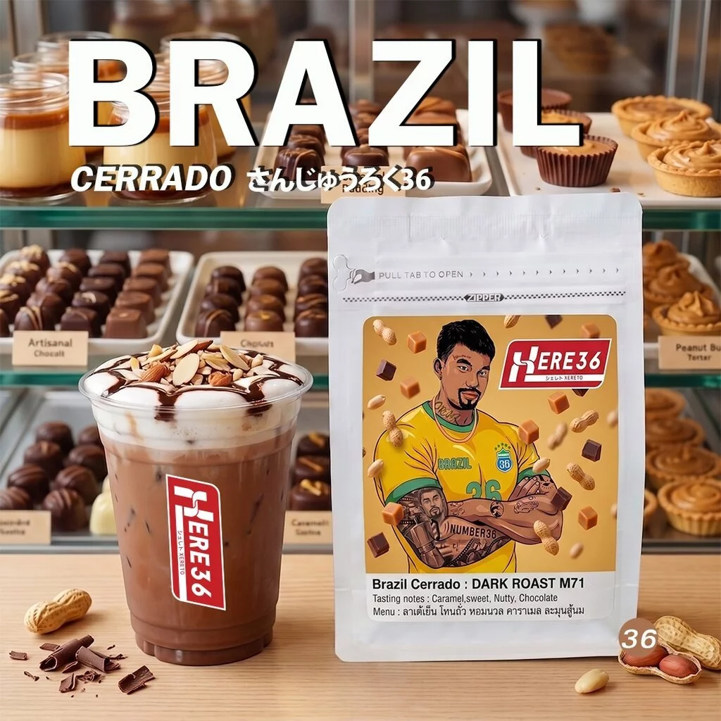 HERE BRAZIL CERRADO อราบิก้า100% : เมล็ดกาแฟบราซิลเซอร์ราโดซิกเนเจอร์ : ช็อคโกเลตอัลมอนด์