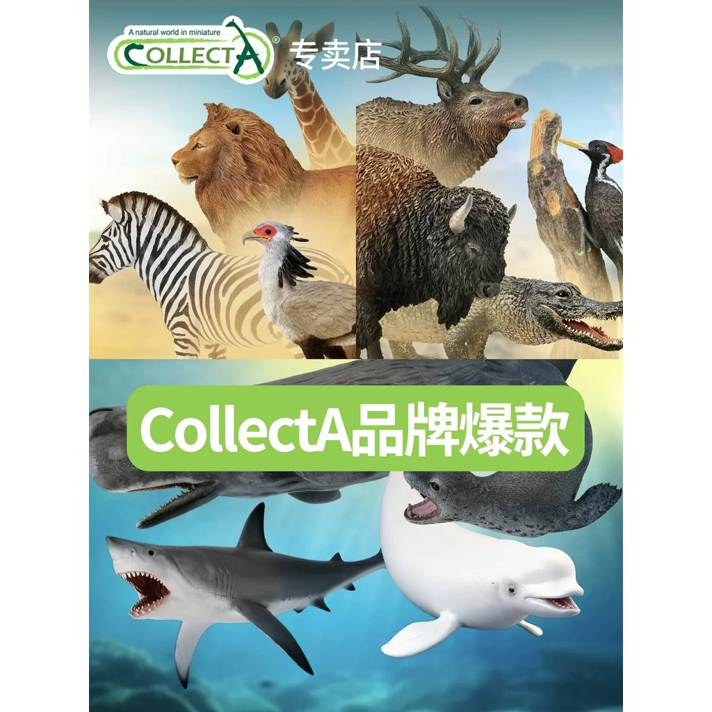 [ขายดีแบรนด์] CollectA จําลองสัตว์รุ่น Early Education ของเล่นความรู้ความเข้าใจสไตล์ One-Stop เลือกผลิตภัณฑ์ขายร้อนทั้งหมด