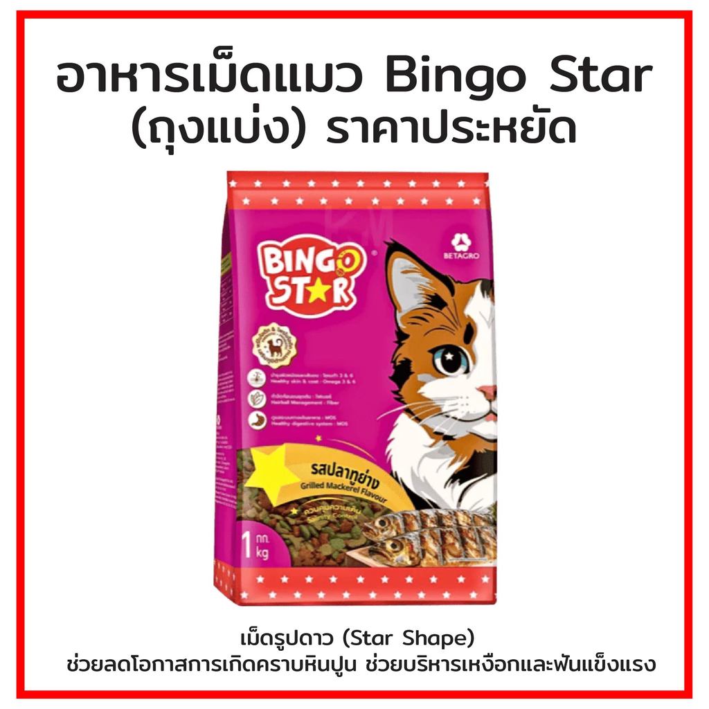 Bingo Star บิงโกสตาร์ แมวโต อาหารแมว ขนาด (1Kg.)