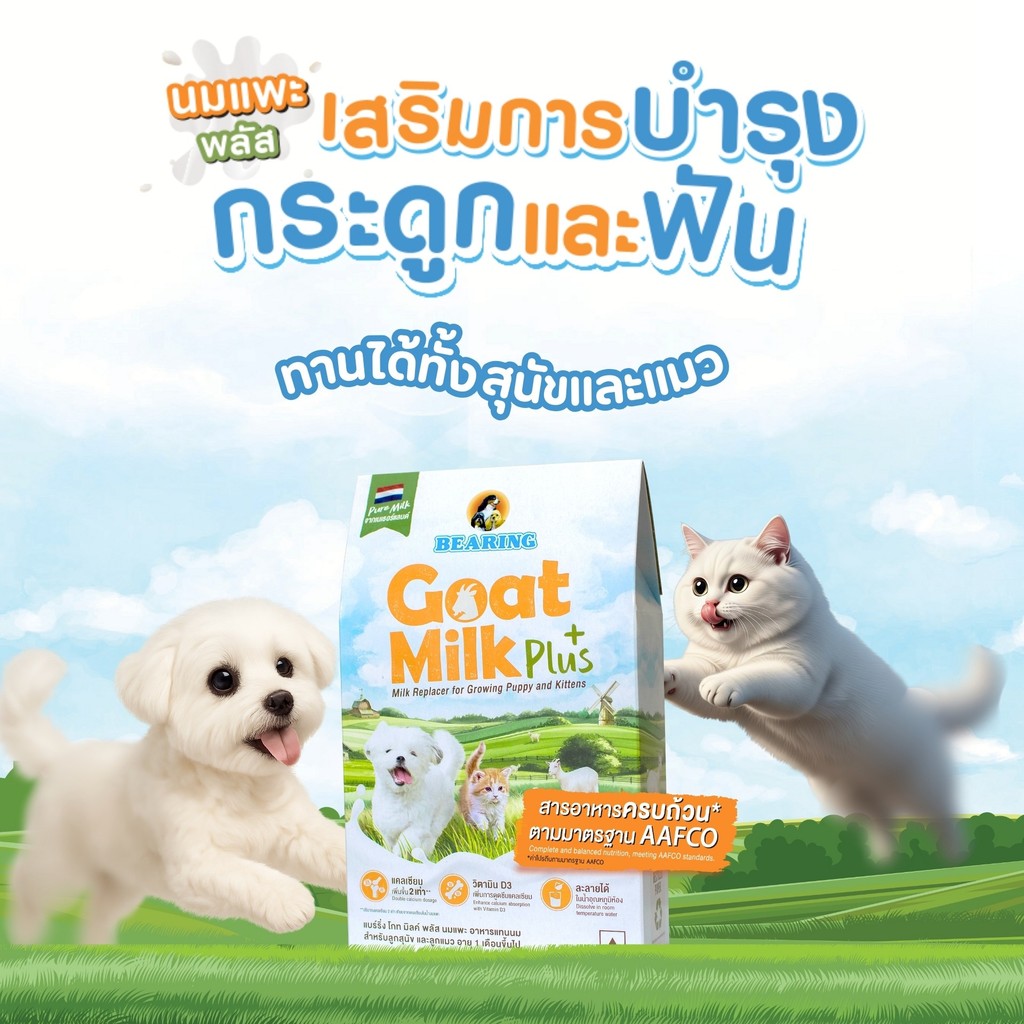 BEARING Goat Milk Plus แบร์ริ่ง โกท มิลค์พลัส 200g - รูปที่ 6