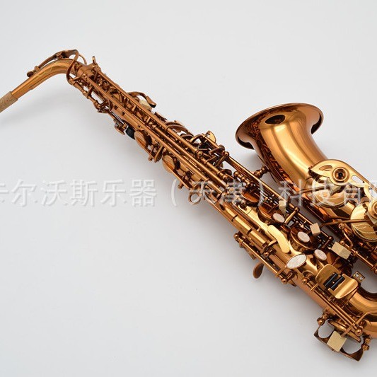 เครื่องดนตรีแซ็กโซโฟน Alto Drop Tuning แซ็กโซโฟน Beginner Coffee Golden แซ็กโซโฟน20251016