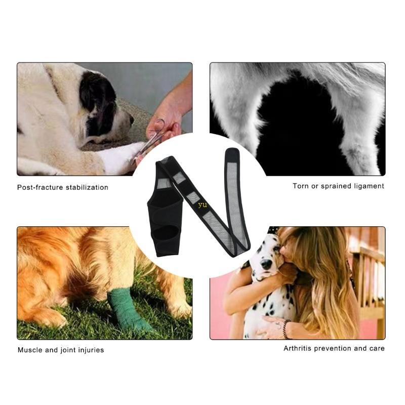 Yu Dog Elbow Brace Wrap สําหรับการบาดเจ็บ Limb ส่งเสริมการห่อขาด้านหลัง