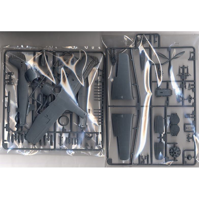 Dynamic Model Tamiya 61095 1/48 Fw190 A-8/A-8 R2 Fighter