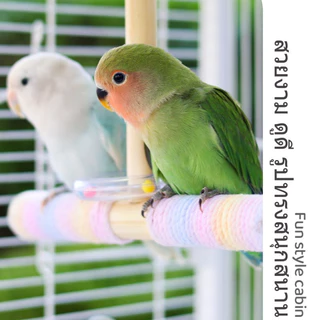 ของเล่นนก ของเล่นนกชิงช้านก บันไดนก สะพานนก บันไดนก คอนนกไม้ เชือกฝ้ายพัน แกว่งเสา ความสบายของเท้า