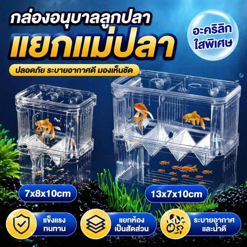 กล่องแยกปลา 2 ช่อง ตู้แยกปลาคลอดลูก แยกลูกกุ้ง ปลาป่วย ปลาต่อสู้