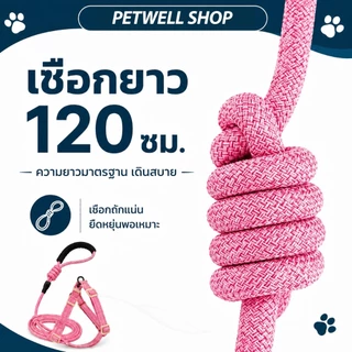 สายจูงสุนัข พร้อมสายรัดแบบฮาร์เนส PETWELL สำหรับสุนัขขนาดเล็ก/กลาง/ใหญ่