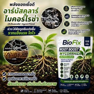 BioFix Root Boost ไมคอร์ไรซ่า 100 กรัม ช่วยป้องกันโรครากเน่าและเสริมการดูดซึมธาตุอาหาร