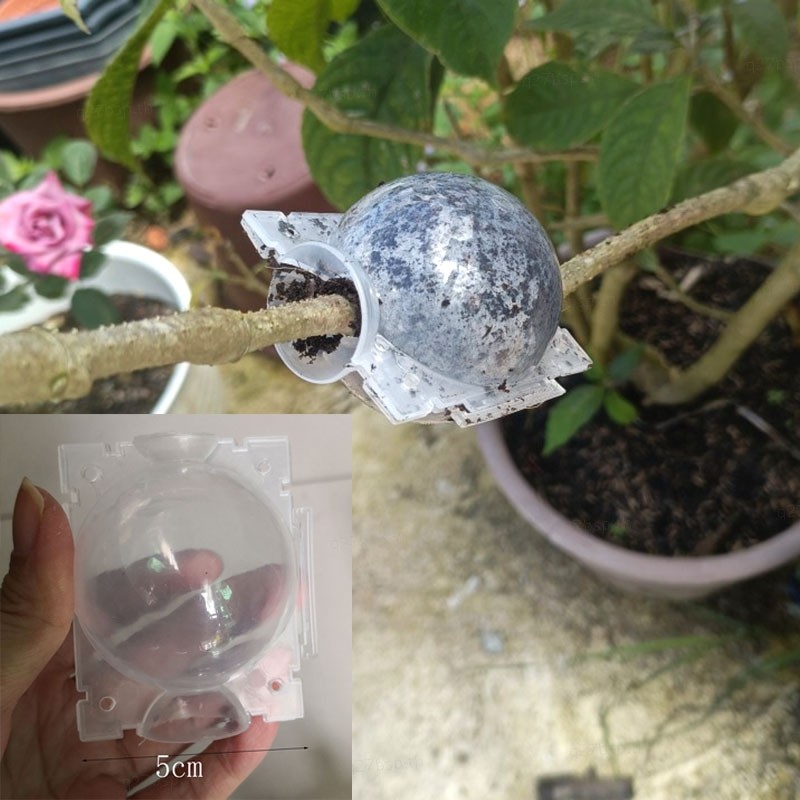 5 ซม.ต้นไม้พืช Rooting Ball ผลไม้ Root กล่องปลูกกรณี Grafting Rooter Grow กล่อง TH27B