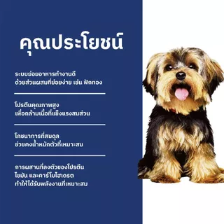 [แพ็ค 3 สุดคุ้ม] Hill's Science Diet Adult Small & Mini อาหารสุนัขพันธุ์เล็ก อายุ 1-6 ปี ขนาด 1.5 กก. (3 ถุง)