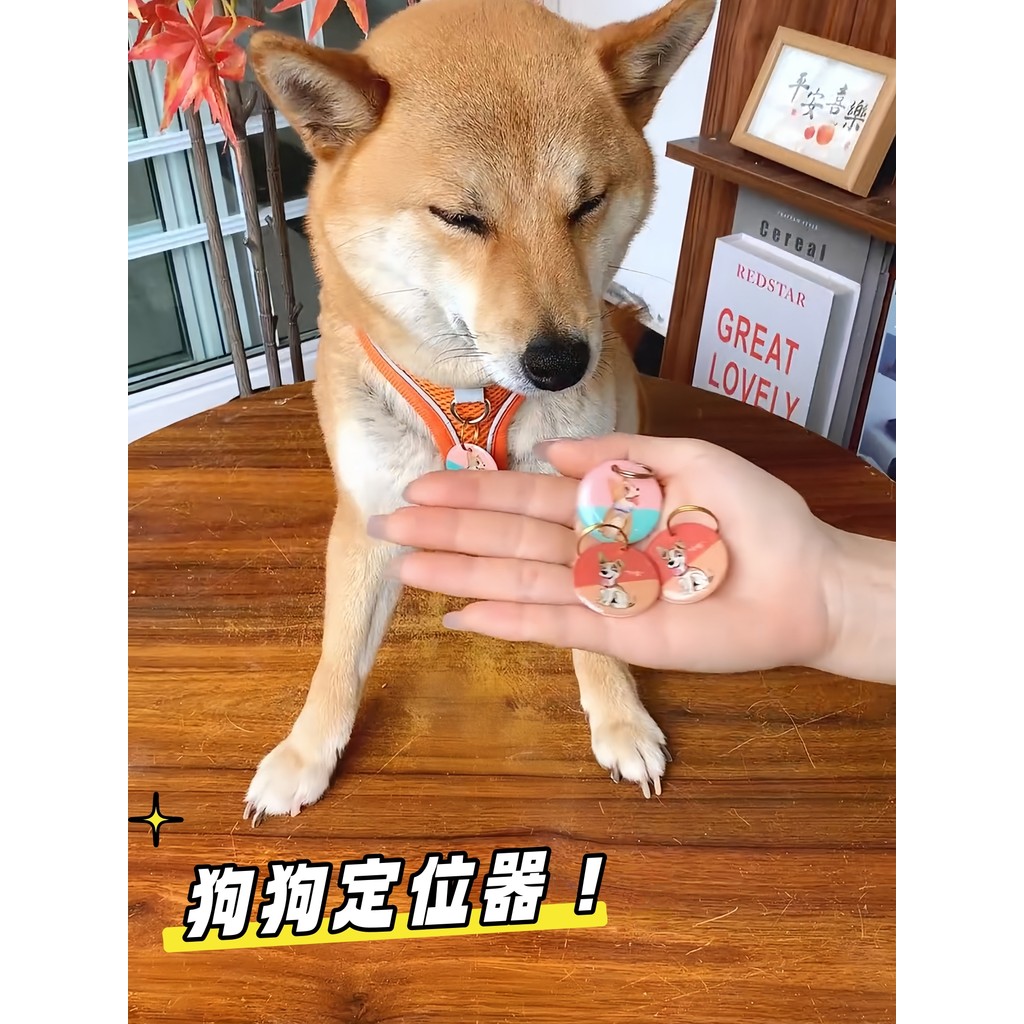 Dog Anti-Lost Locator Anti-Lost Dog Tag Pet Identity Tag QD Code Cat Tag Collar Name Tag Listing