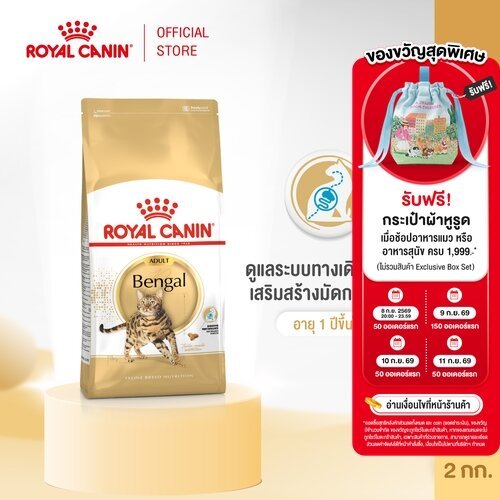 Royal Canin Bengal Adult 2kg อาหารเม็ดแมวโต พันธุ์เบงกอล อายุ 1 ปีขึ้นไป (Dry Cat Food, โรยัล คานิน)