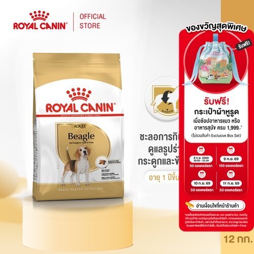 Royal Canin Beagle Adult 12kg อาหารเม็ดสุนัขโต พันธุ์บีเกิ้ล อายุ 12 เดือนขึ้นไป (Dry Dog Food)