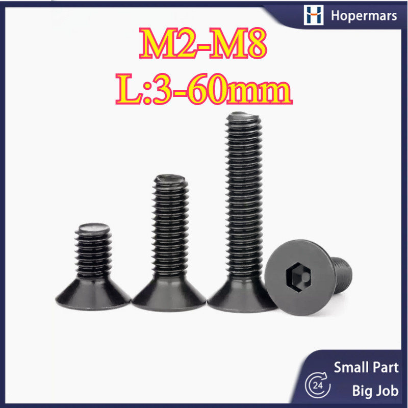 สีดํา 304 สแตนเลส Countersunk Head Hexagon Socket Bolt M2-M8 * L3-60mm (HA-LR-TH)