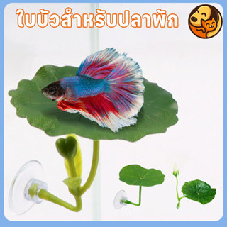 ตก แต่งตู้ปลา ใบบัวจำลอง ปล่อยให้ปลาได้พัก การวางไข่ หญ้าจำล…