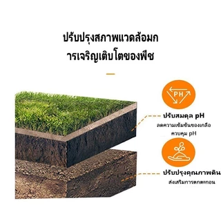 [ซื้อ1แถม1] ปุ๋ยกระตุ้นดิน สารปรับปรุงดิน บำรุงราก ปรับค่า pH ดิน ช่วยให้ดินร่วนซุย ใช้ได้กับผัก ดอกไม้ ไม้ผล มีแบบกระปุ