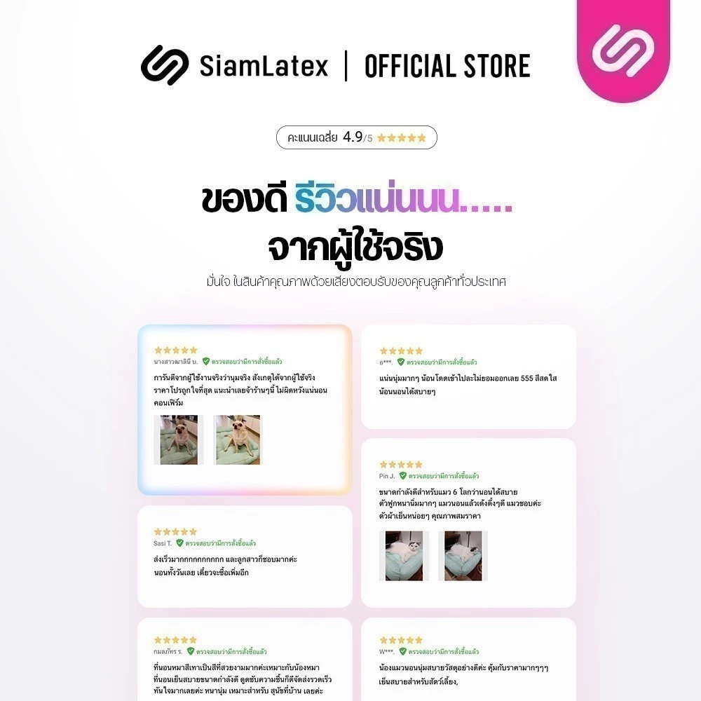 Siamlatex เบาะที่นอนสุนัขและแมว รุ่น Buds thumbnail 8